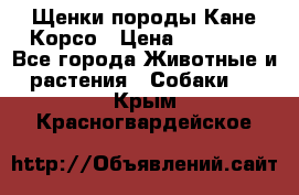 Щенки породы Кане-Корсо › Цена ­ 25 000 - Все города Животные и растения » Собаки   . Крым,Красногвардейское